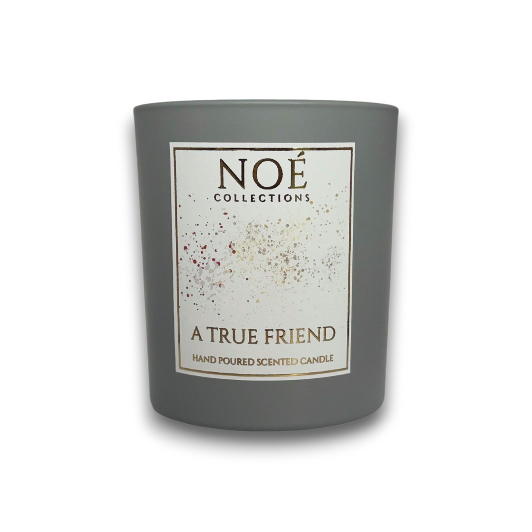 A True Friend - Noé Moments