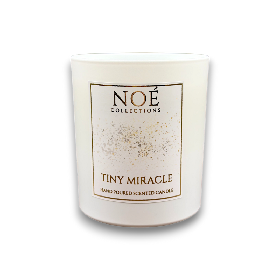 Tiny Miracle - Noé Moments