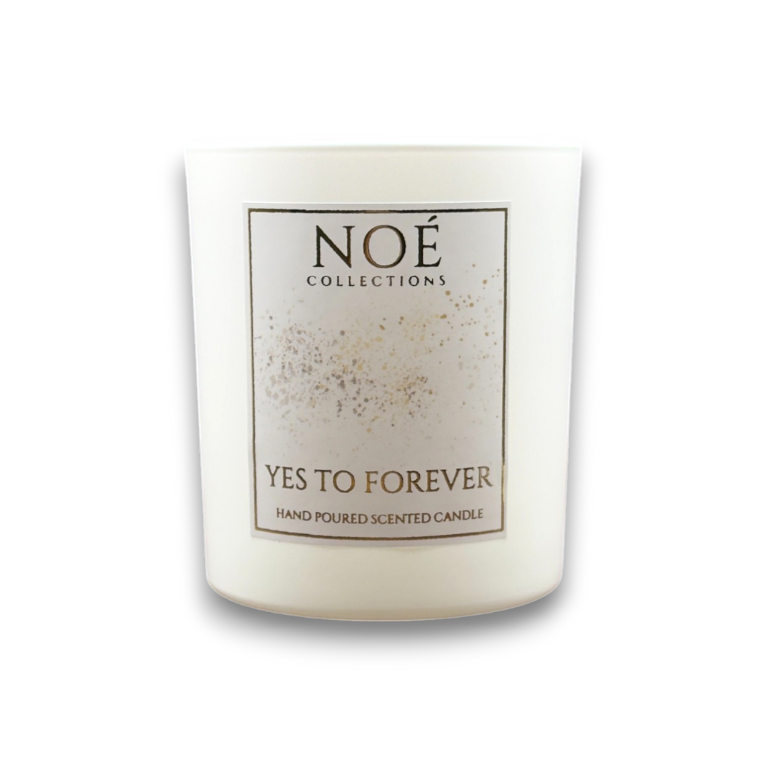 Yes to Forever - Noé Moments