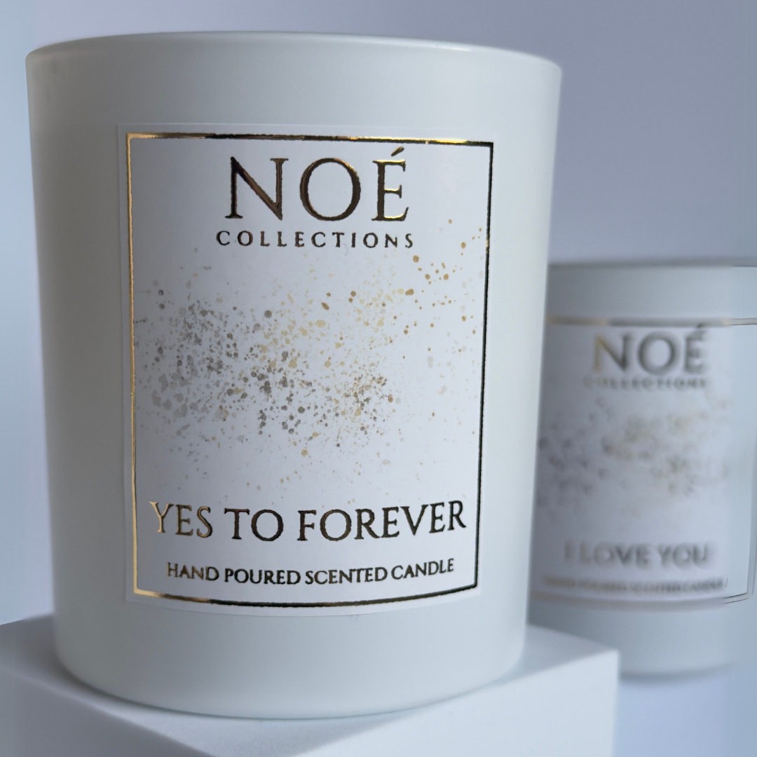 Yes to Forever - Noé Moments
