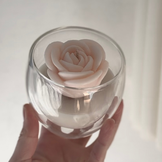 Blush Rose in Double Glassed Jar