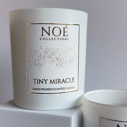 Tiny Miracle - Noé Moments